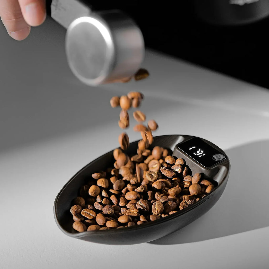 MHW-3BOMBER MVE Coffee Scale-ABS Main Concept Avenue