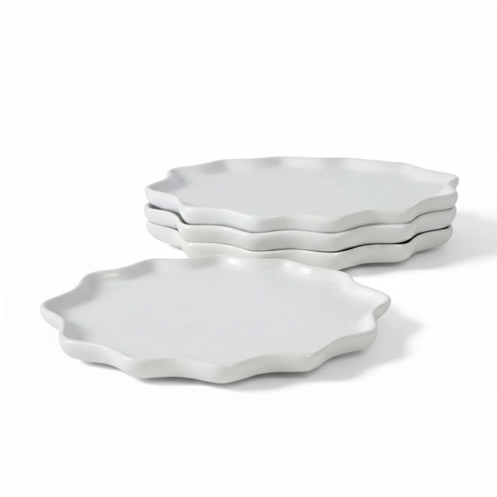 BosilunLife Bring Nature Inside Dinner Plate Recycled Eco-Clay 4-Pcs Set BosilunLife