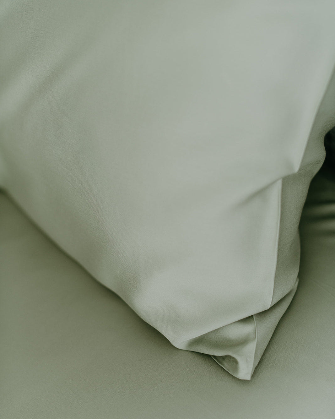 Bamboo Adult Pillowcase Set NakedLab