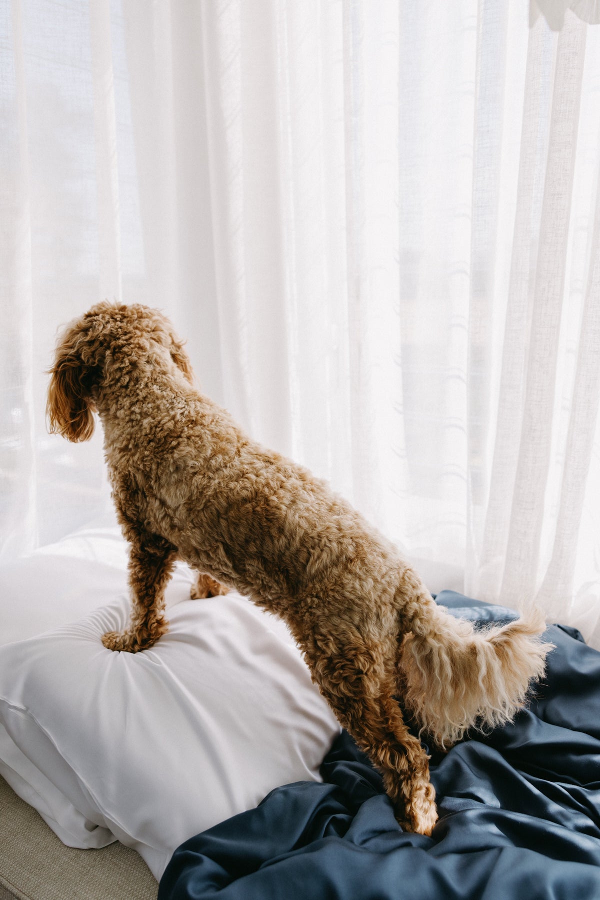 Bamboo Fitted Sheet NakedLab