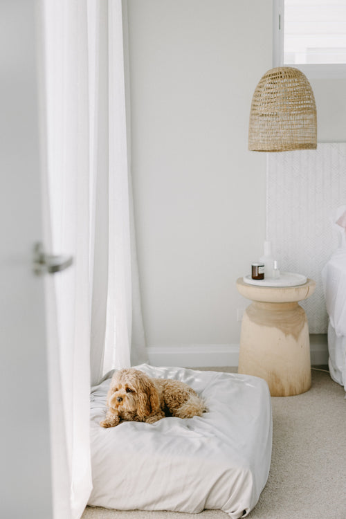 Bamboo Dog Bed Cover NakedLab