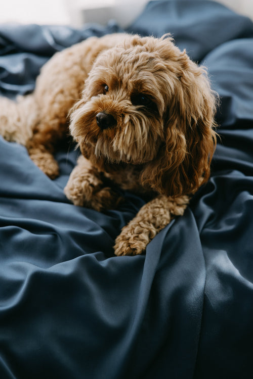 Bamboo Dog Bed Cover NakedLab